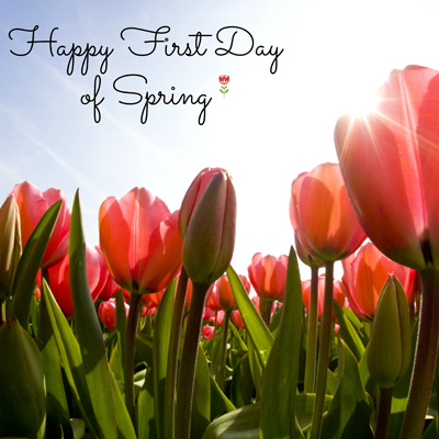 Today is the First Day of Spring! – G2W Consulting, LLC